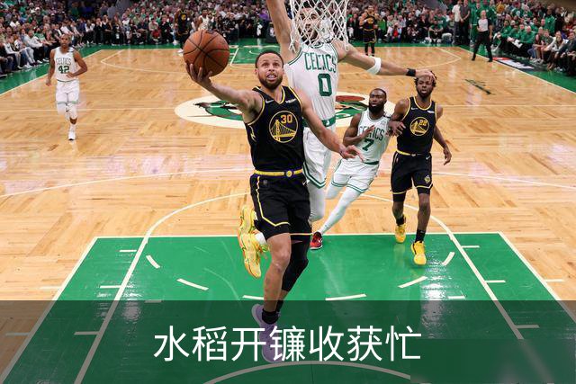 水稻开镰收获忙