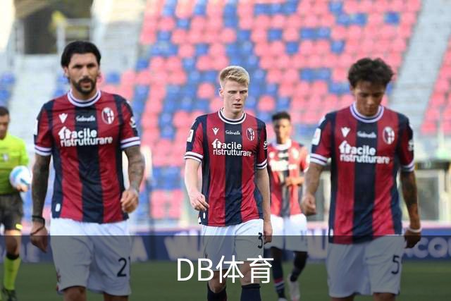 DB体育公司简介